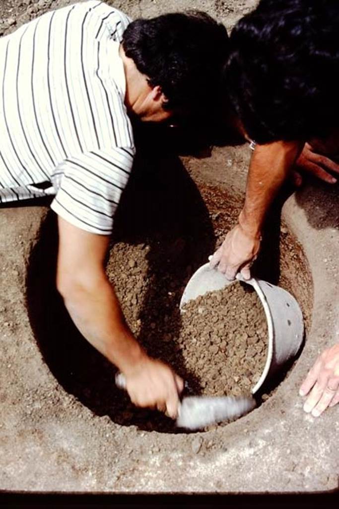 Villa Regina, Boscoreale. 1983. Emptying the well of the lapilli.
Source: The Wilhelmina and Stanley A. Jashemski archive in the University of Maryland Library, Special Collections (See collection page) and made available under the Creative Commons Attribution-Non Commercial License v.4. See Licence and use details. J80f0621
