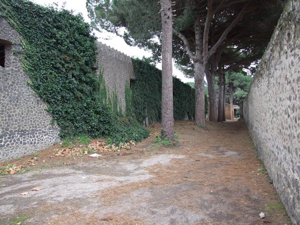 Unnamed vicolo between II.7 and II.9. Looking south. December 2006.