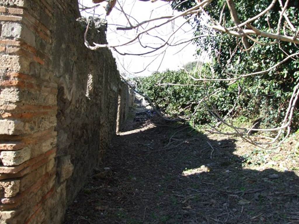 Unnamed vicolo between IX.9 and IX.10. South end. Looking north from IX.9.12. March 2009.
