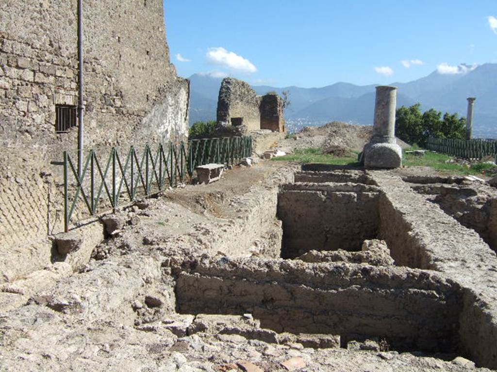 VIII.1.3 Pompeii. September 2005. Looking south from north-east corner. 
The Unnamed vicolo between VIII.1.3 and VIII.1.1 is behind the left side fence.
According to Carroll, the white �monument� at the south end was an unfinished column of limestone for a votive offering.
This was brought in and worked on after 62 AD.
See: Carroll, M. (2010): Exploring the sanctuary of Venus and its sacred grove: politics, cult and identity in Roman Pompeii: Papers of the British School at Rome 78, (2010) pp.63-106.
