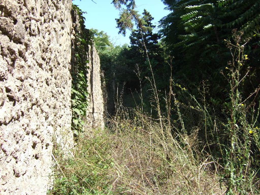 Via Stabiana. September 2005. Looking east along unnamed vicolo near city walls past I.1 and I.5.