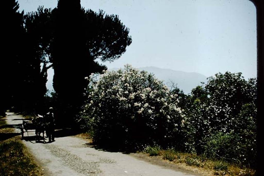 Via Villa dei Misteri. July 2011. Looking south past the Circumvesuviana station. The entrance to Pompeii Scavi is on the left opposite the parked white van in the distance. Photo courtesy of Rick Bauer.