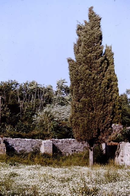 Via dei Sepolcri. May 2006. Looking north.