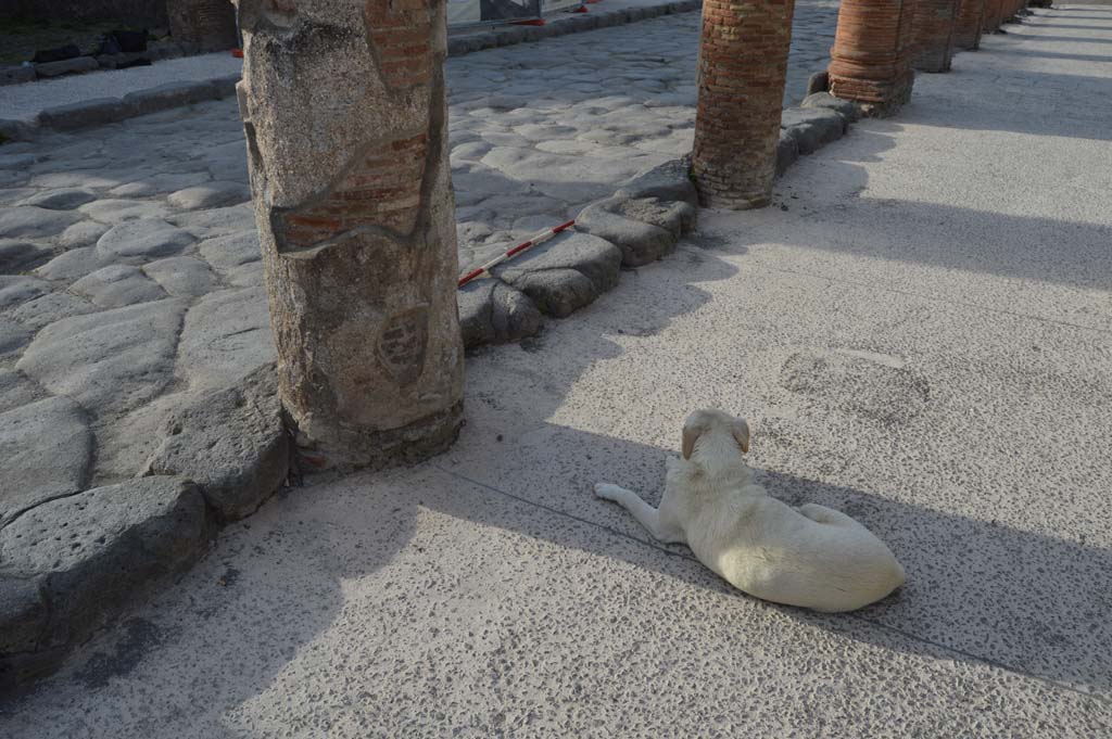 Via del Foro, east side, Pompeii. March 2019. 
Second column at south end of portico, on left, outside VII.4.10, looking north-west. 
Foto Taylor Lauritsen, ERC Grant 681269 D�COR.
