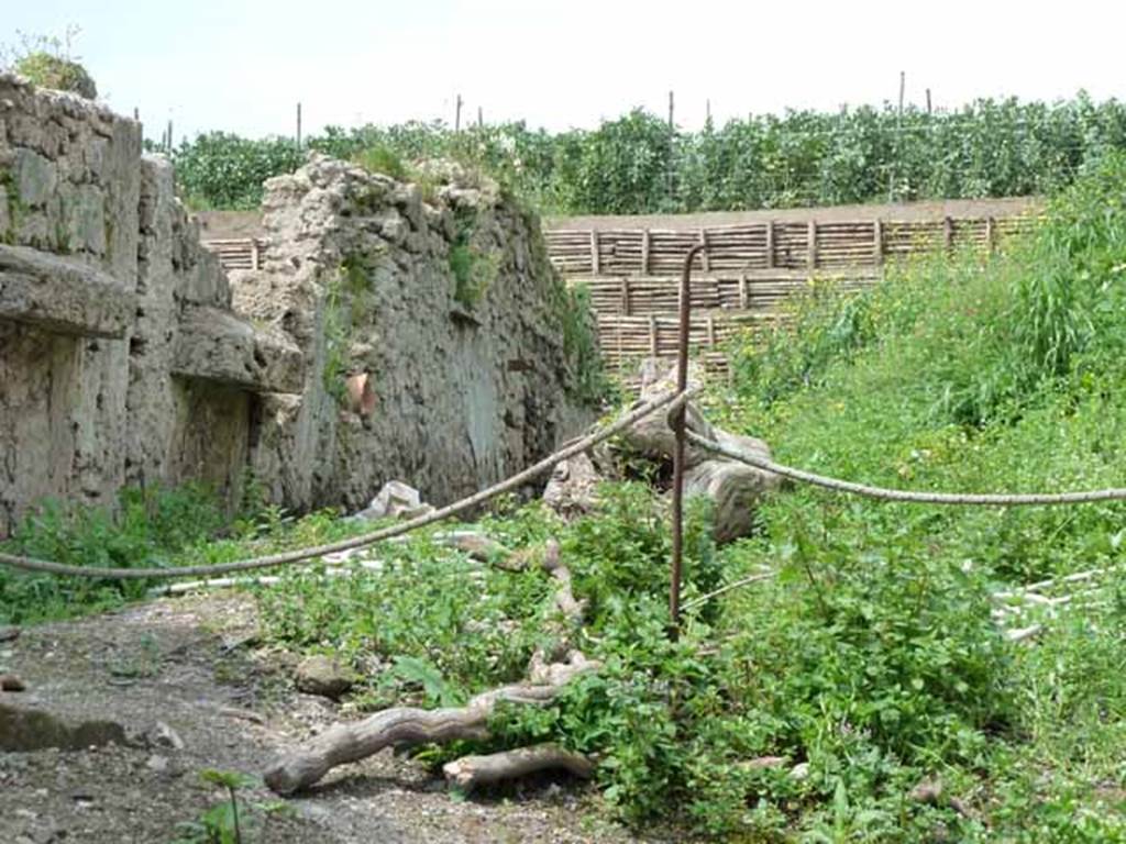 Via dell’Abbondanza. May 2010. Unnamed vicolo, west side. East wall of the rear of III.4.3