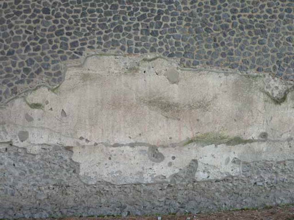 Via di Castricio, May 2010. Remains of plaster and graffiti on west end of outer north wall of the Palestra. According to Varone and Stefani, at the right hand end of the many graffiti found were CIL IV 7589, 7590, 7989b. According to Epigraphik-Datenbank Clauss/Slaby (See www.manfredclauss.de) these read as

M(arcum) Holconium Priscum IIvir(um) i(ure) d(icundo)       [CIL IV 7589]

T(h)yasotas      [CIL IV 7590]    
According to Varone and Stefani this perhaps reads as Santas written for Xanthias.

Celer lorarius Maio delibat
Maio principi coloniae felic(iter)      [CIL IV 7989b]

See Varone, A. and Stefani, G., 2009. Titulorum Pictorum Pompeianorum, Rome: L�erma di Bretschneider.  (p. 222-4).