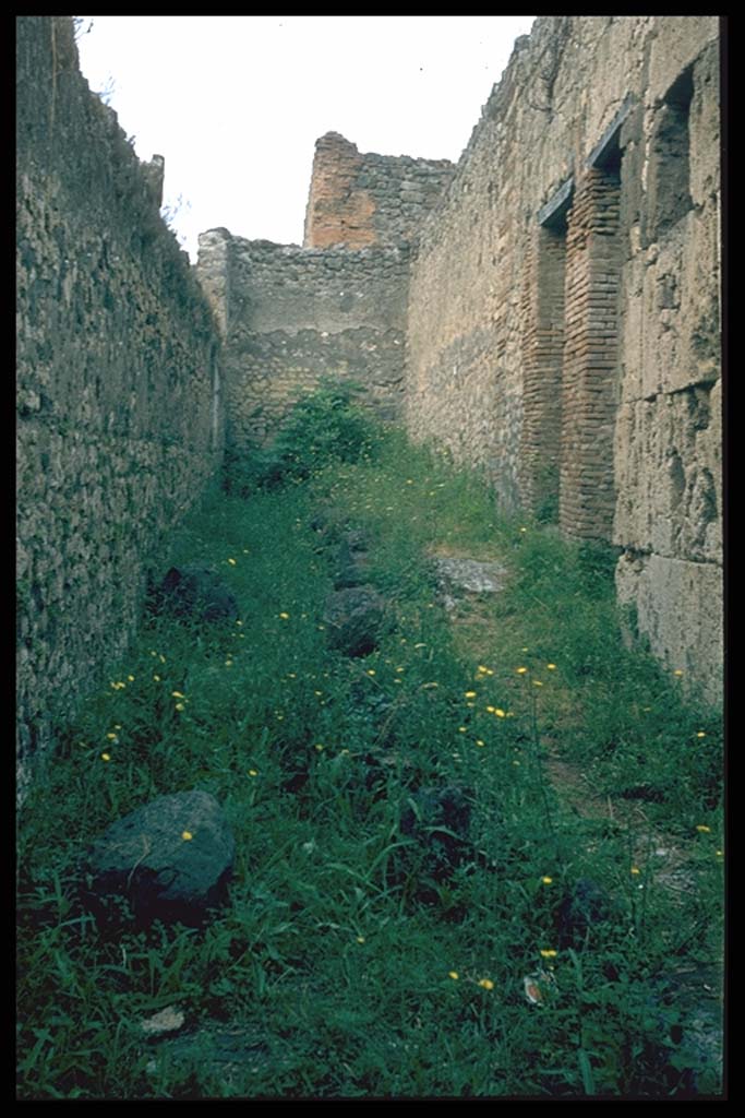 Vicolo degli Scheletri, west end. Looking west from near VII.9.63.
Photographed 1970-79 by Günther Einhorn, picture courtesy of his son Ralf Einhorn.
