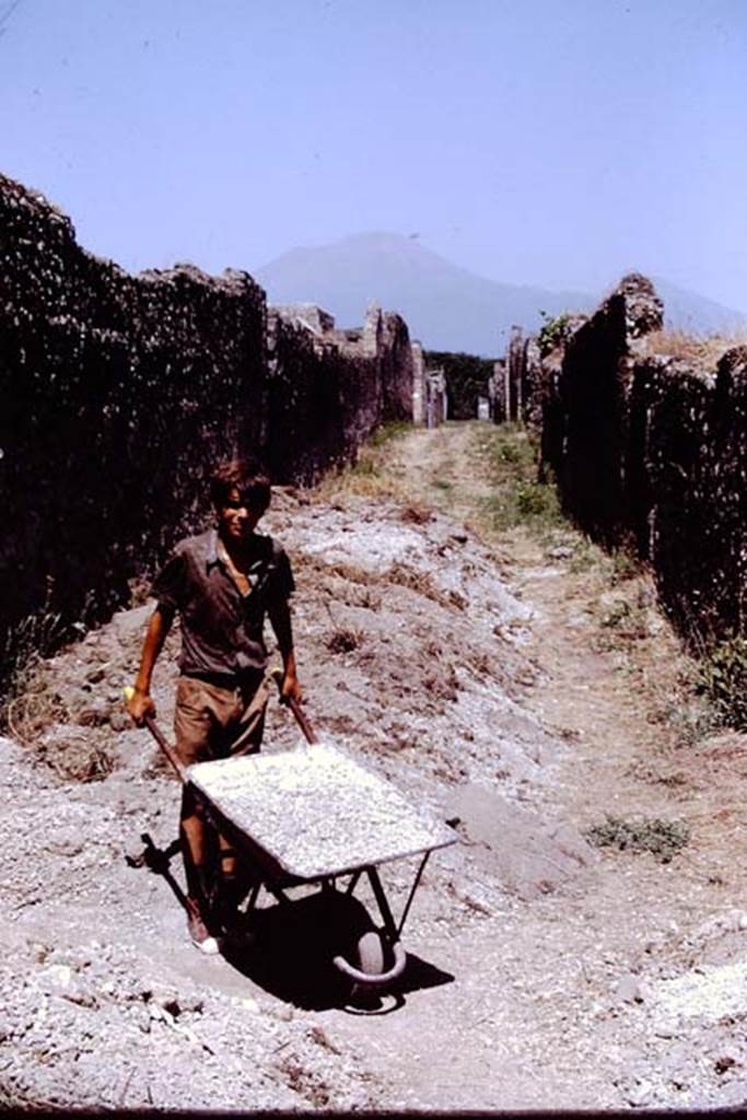 Vicolo dei Fuggiaschi between I.15 and I.14, Pompeii. 1972. Looking north. Photo by Stanley A. Jashemski.
Source: The Wilhelmina and Stanley A. Jashemski archive in the University of Maryland Library, Special Collections (See collection page) and made available under the Creative Commons Attribution-Non Commercial License v.4. See Licence and use details. J72f0587