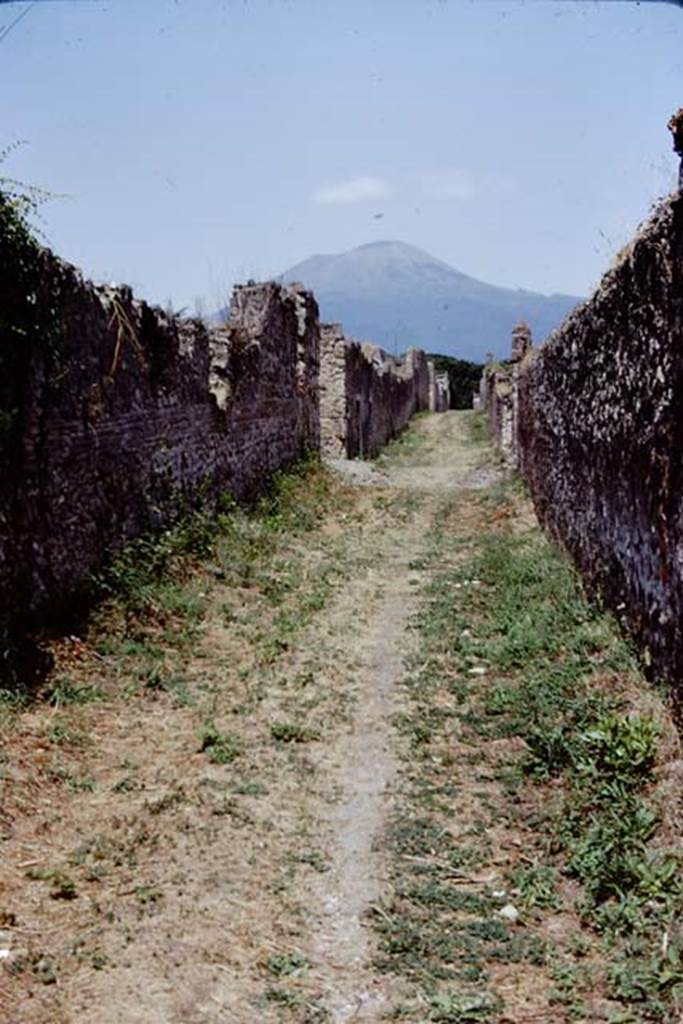 Vicolo dei Fuggiaschi. Pompeii. 1972. Looking north from between 1.21 and 1.20.
Photo by Stanley A. Jashemski.
Source: The Wilhelmina and Stanley A. Jashemski archive in the University of Maryland Library, Special Collections (See collection page) and made available under the Creative Commons Attribution-Non Commercial License v.4. See Licence and use details. J72f0421