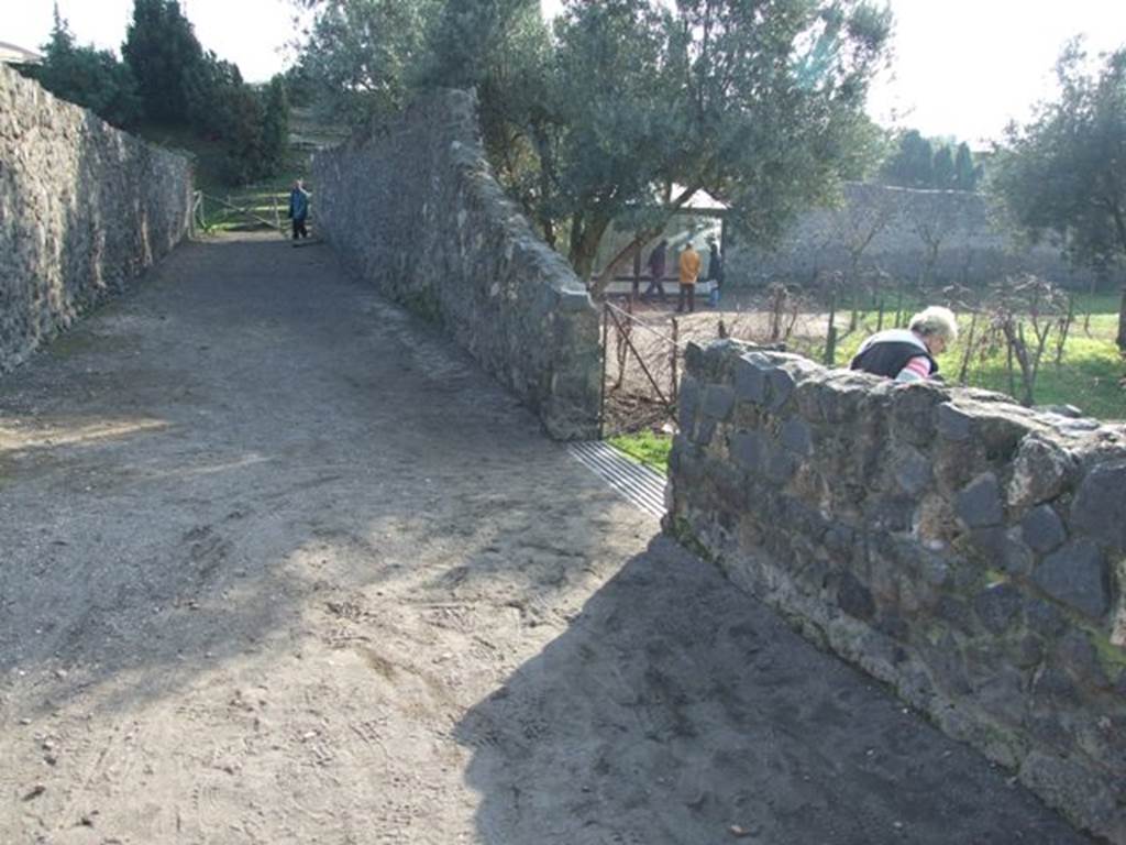 Vicolo dei Fuggiaschi. December 2007. Looking south from I.21.6.