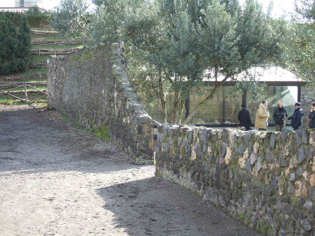 Vicolo dei Fuggiaschi, west side, December 2005. Looking south from I.21.6 the garden of the fugitives.