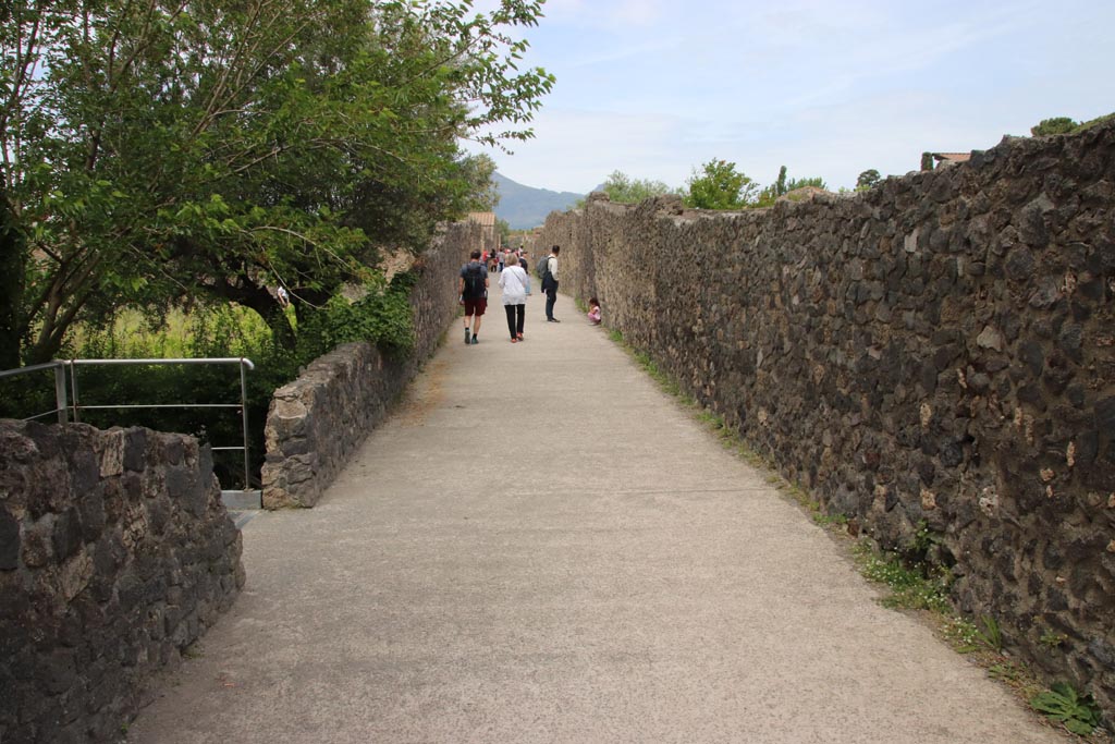 Vicolo dei Fuggiaschi. May 2024.
Looking north from between I.21 and I.20, from near the garden of the fugitives, on left. Photo courtesy of Klaus Heese.