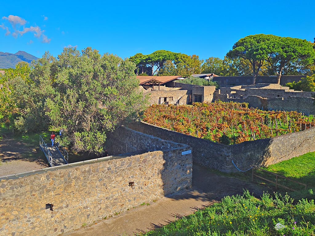 Vicolo dei Fuggiaschi, Pompeii. October 2024.
Looking north-east across I.21 on left, Vicolo dei Fuggiaschi, in centre, and I.20.1 on right. Photo courtesy of Giuseppe Ciaramella.