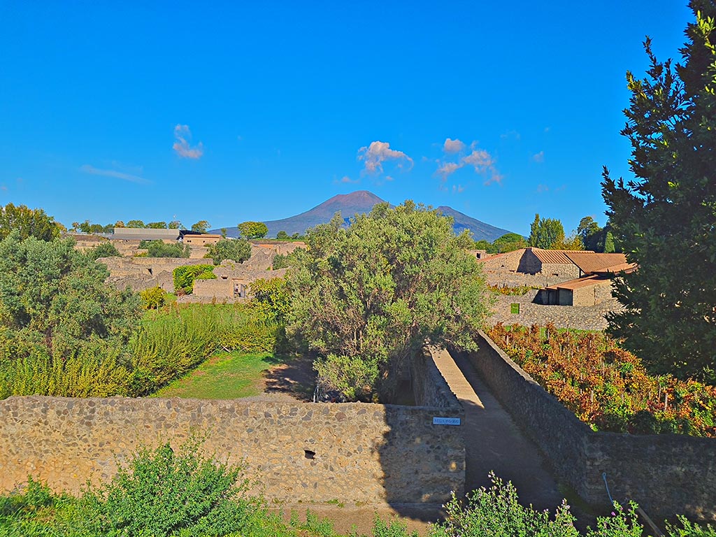 Vicolo dei Fuggiaschi. October 2024.
Looking north across I.21.2/6 on left, Vicolo dei Fuggiaschi, in centre, and I.20.1 on right. Photo courtesy of Giuseppe Ciaramella.