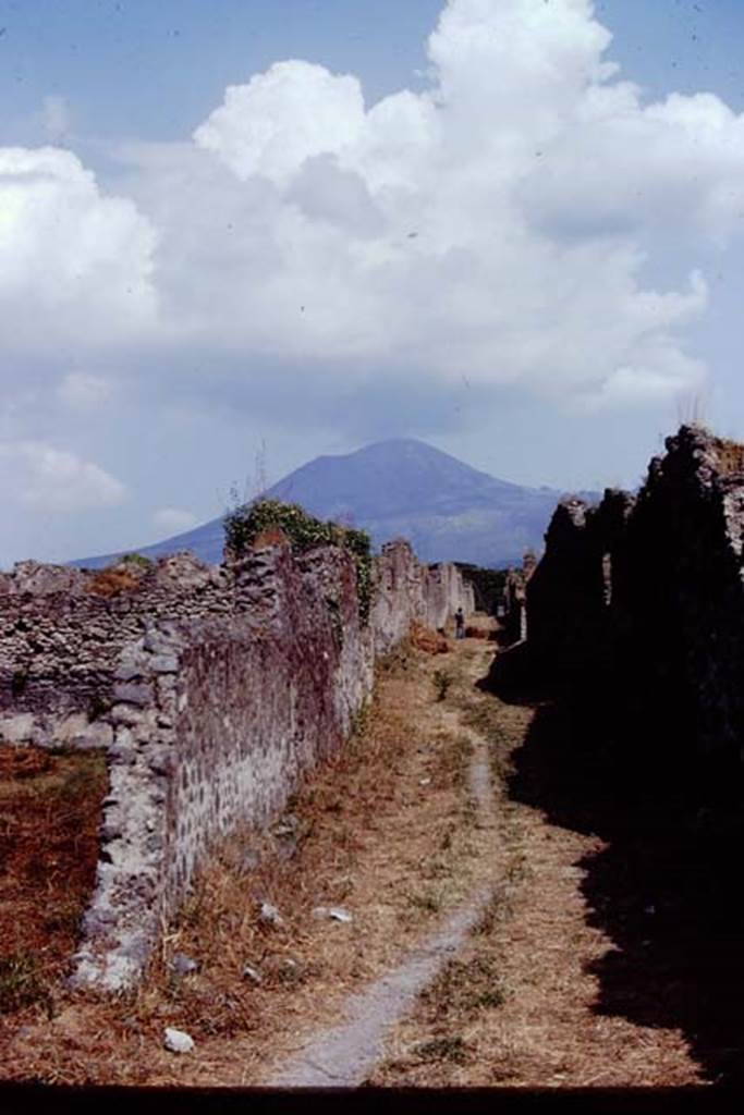 Vicolo dei Fuggiaschi. Pompeii. 1972. Looking north between I.21 and I.20. Photo by Stanley A. Jashemski.
Source: The Wilhelmina and Stanley A. Jashemski archive in the University of Maryland Library, Special Collections (See collection page) and made available under the Creative Commons Attribution-Non Commercial License v.4. See Licence and use details. J72f0212