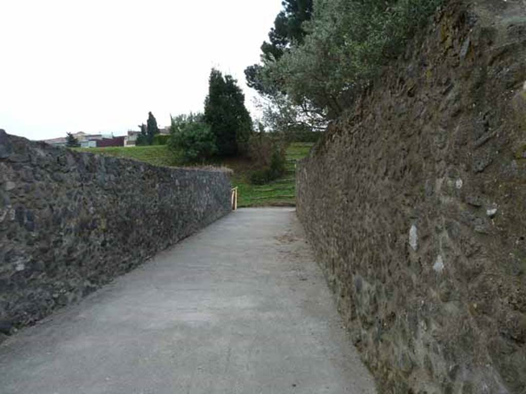 Vicolo dei Fuggiaschi, south end, May 2010. Looking south from I.21.6, the fugitives garden