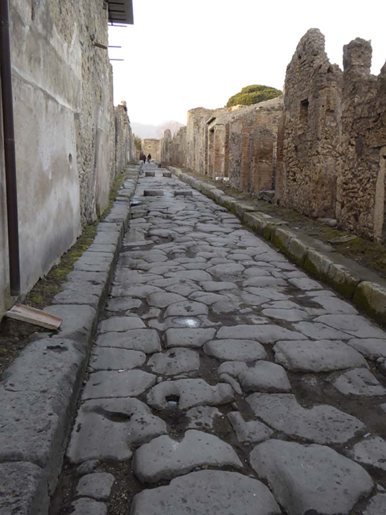 Vicolo dei Vettii, west side. May 2010. Looking north from near VI.15.7.
