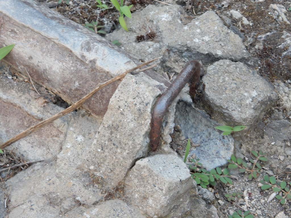 Vicolo dei Vettii, Pompeii, west side. June 2019. Detail of lead pipes in pavement outside VI.13.13.
Photo courtesy of Buzz Ferebee.
