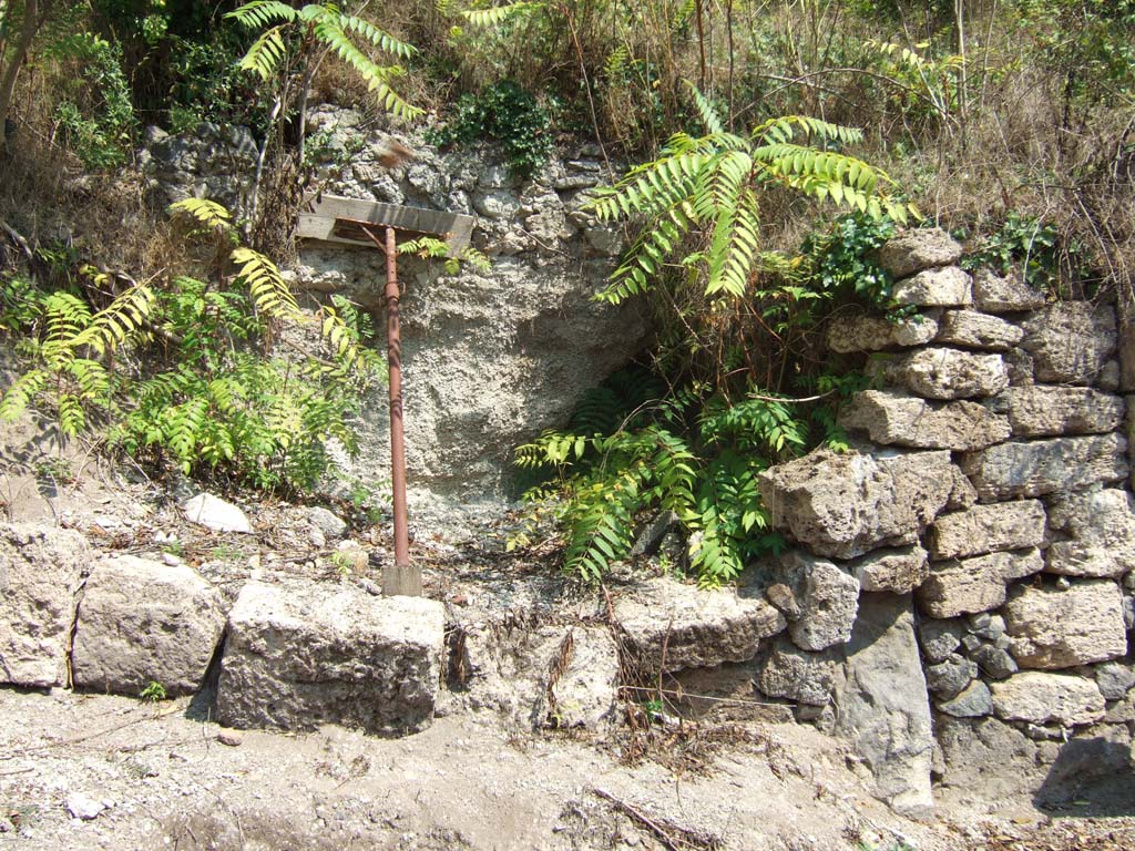 Unexcavated vicolo between I.19 and I.25. September 2005. Possible continuation of Vicolo del Conciapelle, when excavated. 
