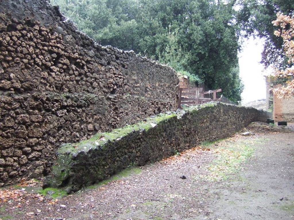 Unnamed access on to Triangular Forum. Looking west from Triangular Forum. December 2005.