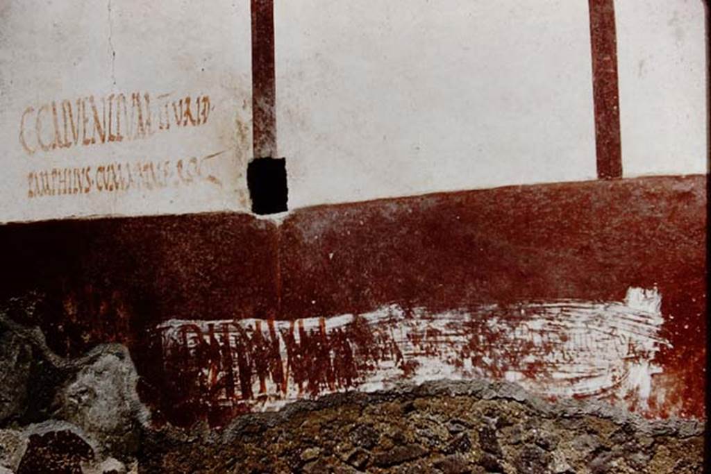 Vicolo di Ifigenia, east side, Pompeii. 1961. Exterior wall between entrances III.4.e, on left, and III.4.d, on right.
Photo by Stanley A. Jashemski.
Source: The Wilhelmina and Stanley A. Jashemski archive in the University of Maryland Library, Special Collections (See collection page) and made available under the Creative Commons Attribution-Non Commercial License v.4. See Licence and use details.
J61f0556
The inscription on the left reads – C. CALVENTIVM II . V. R I . D
PAMPHILVS . CVM NATALE ROG
We cannot read the large inscription, which looks as if it has been over-painted many times, but according to Eschebach, Giordano & Casale, p.281, had also read
No.25: “Pamphilus rog Acestes” – No.26: “Pamphilus cum Natale rog” (above) – and on p.298, No. 106: “Ampliata, Florilla” – No. 108 & 110: “Pamphilus” – and on page 299, No.111: “Pamphilus”.
See Eschebach, L., 1993. Gebäudeverzeichnis und Stadtplan der antiken Stadt Pompeji. Köln: Böhlau. (p.106-7)