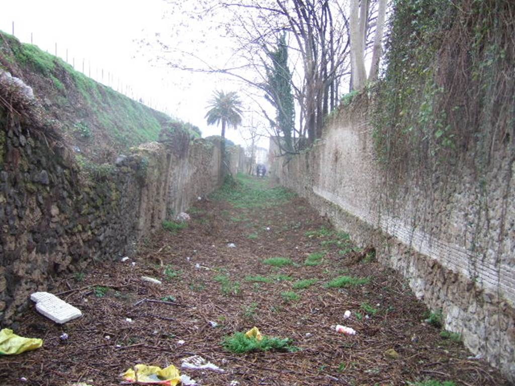 Vicolo di Ifigenia between III.4 and III.3. North end. Looking south towards junction with Via dell’ Abbondanza. December 2005.