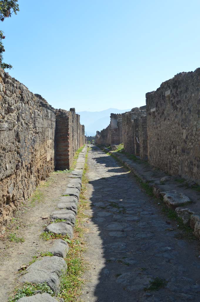 Vicolo di Modesto, October 2017.
Looking south between VI.5, on left, and VI.2, on right, (VI.2.26/25).
Foto Taylor Lauritsen, ERC Grant 681269 DÉCOR.