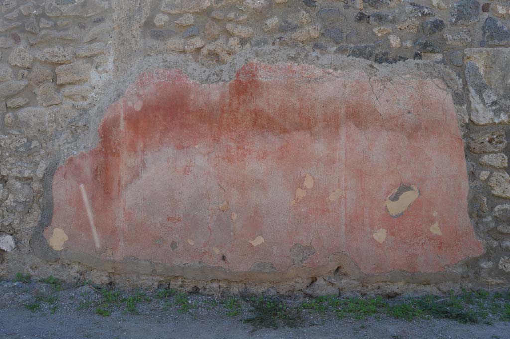 Vicolo di Modesto, October 2017. Looking west towards wall with detail of painted decoration.
Foto Taylor Lauritsen, ERC Grant 681269 DÉCOR.
