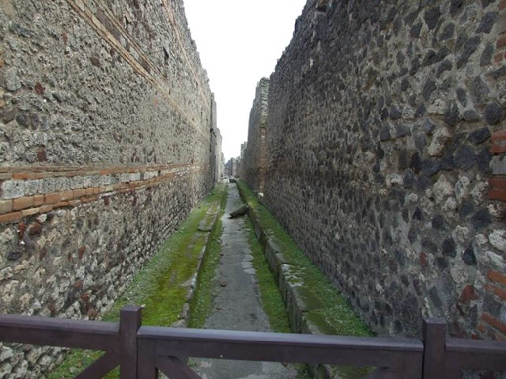 Vicolo di Tesmo between IX.5 and IX.4. . Looking south. March 2009.