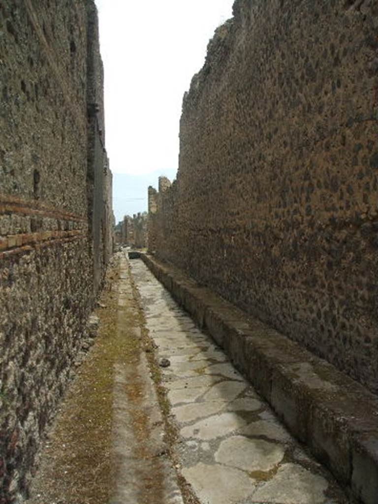 Vicolo di Tesmo between IX.5 and IX.4. Looking south. May 2005.