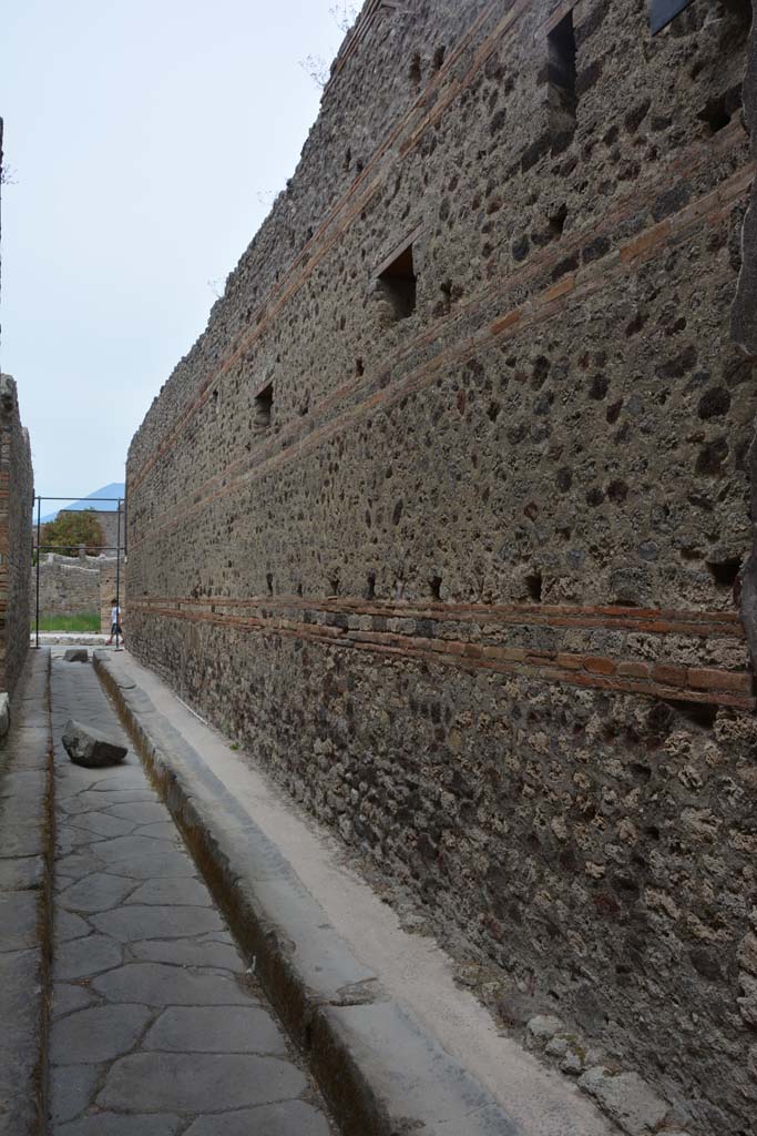 Vicolo di Tesmo, east side, Pompeii. May 2017.
Looking north along exterior side wall of IX.5.2/22.
Foto Christian Beck, ERC Grant 681269 DÉCOR.