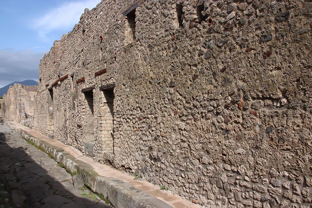 Vicolo di Tesmo, Pompeii. October 2024.
Looking north along Insula 6 on east side of Vicolo di Tesmo, with IX.6.1 in centre. Photo courtesy of Klaus Heese