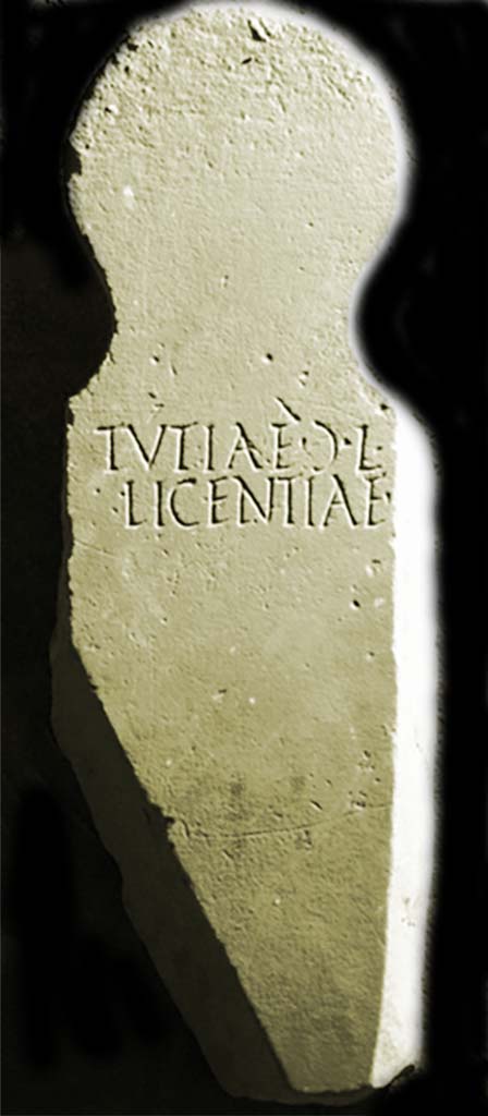 Pompei, Tombe presso la Strada Regia. 1894. Marble columella of Tutiae Licentiae.
Now in Naples Archaeological Museum. Inventory number 123257.
Found in the same location as the above columella in 1894.
See Mittheilungen des Kaiserlich Deutschen Archaeologischen Instituts, Roemische Abtheilung, 1894, p. 65, no. 14.
See Ephemeris Epigraphica, Vol. VIII, 1899, no. 331.
In the form of a herm, 0.74m high, 0.20m wide:
TVTIAE Ɔ L·
LICENTIAE
Tutiae G(aiae) l(ibertae)
Licentiae
Burial of a freedwoman
See Notizie degli Scavi di Antichità, 1894, p. 384, no. 14.
According to the Epigraphic Database Roma this reads
Tutiae ((mulieris)) l(ibertae)
Licentiae.