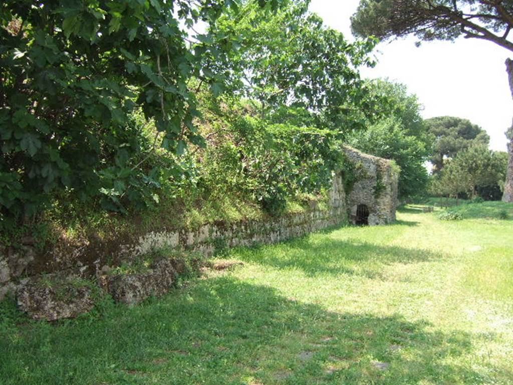 Tombs PSPN Pompeii. July 2011. Walls containing carved inscriptions near Tower VII. Photo courtesy of Rick Bauer.