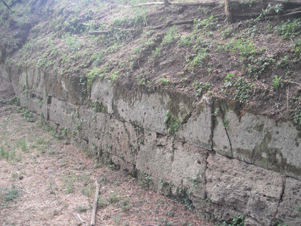 Tombs PSPN Pompeii. July 2011. Inscription to PROTVS on walls near Tower VII. Photo courtesy of Rick Bauer.

According to Epigraphik-Datenbank Clauss/Slaby (See www.manfredclauss.de) this reads

Protus      [CIL 04, 02500 = CIL 10, 08357 = AE 2004, +00398]
