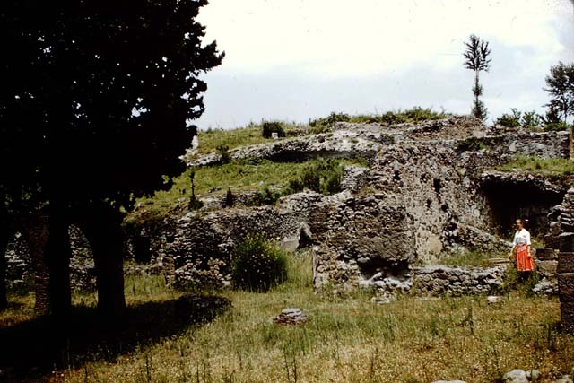 HGE16 Pompeii. May 2006. Looking across counter to east wall with doorway to rear room.