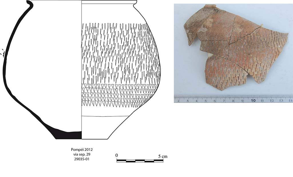 Fig. 7 - Pomp�i. Gobelet � paroi fine mis au jour dans le niveau de lapillli de la pi�ce 1.
A. Lacombe, G. Stelo. 
