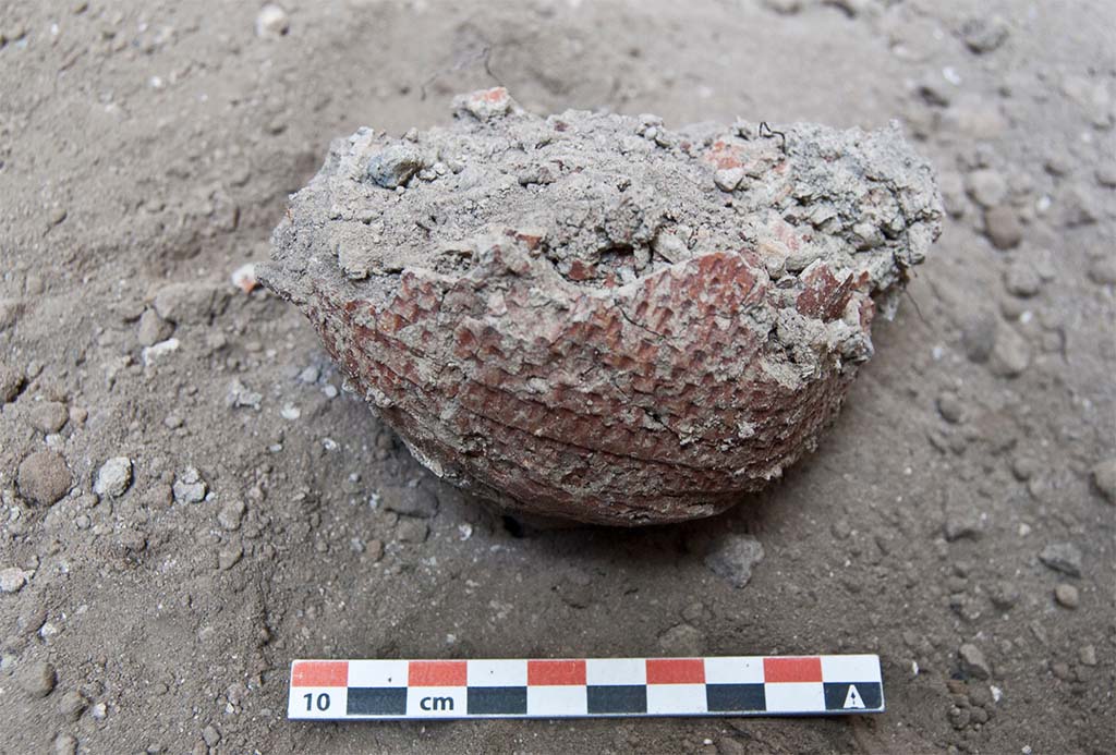 Fig. 9 - Pomp�i. Gobelet � paroi fine cru mis au jour dans le niveau de lapilli (US 29029) dans l�angle sud-ouest de la pi�ce 2.
Clich� N. Meluziis. 
