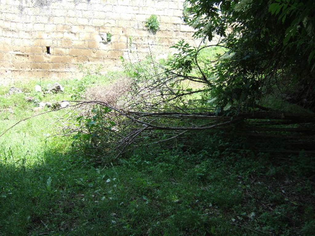 HGE31 Pompeii. May 2006. Derelict site of area of HGE31 and HGE32. According to Garcia y Garcia, unfortunately also hit by a bomb in September 1943, and lost were the Samnite tombs excavated in 1873 and recorded by Fiorelli. See Garcia y Garcia, L., 2006. Danni di guerra a Pompei. Rome: L’Erma di Bretschneider. (p.163)