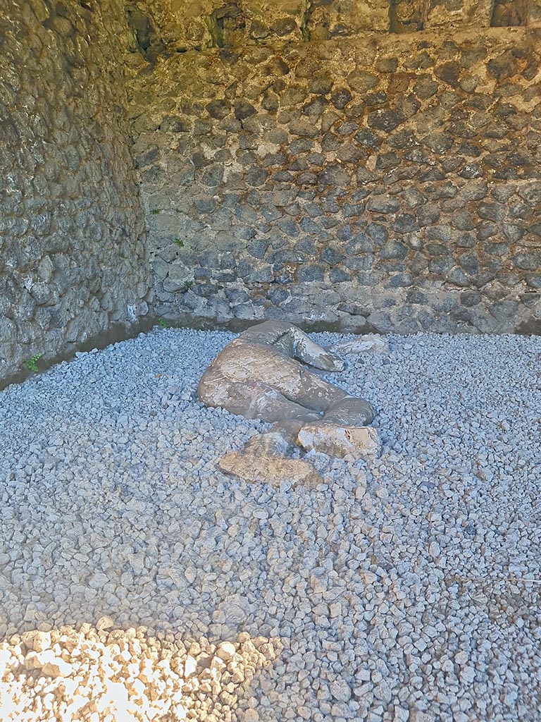 North-west side of Via delle Tombe. October 2024.
Plaster cast of a teenager. Photo courtesy of Giuseppe Ciaramella.