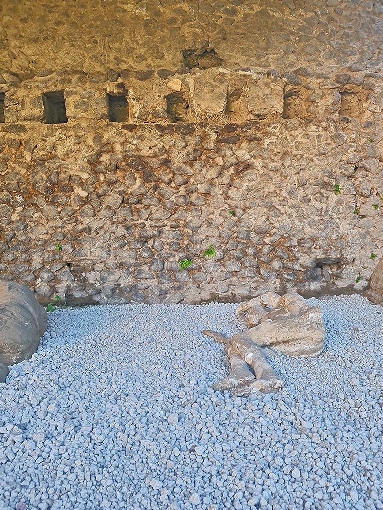 North-west side of Via delle Tombe. October 2024.
Plaster cast of a boy aged between 7 and 19 years. Photo courtesy of Giuseppe Ciaramella.