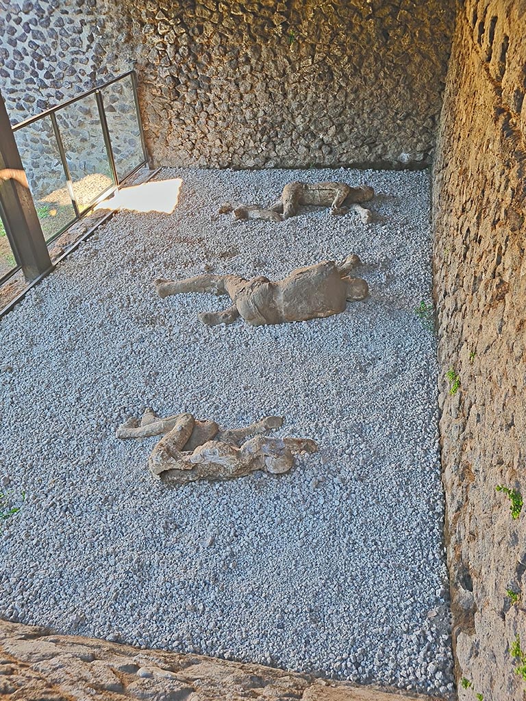 North-west side of Via delle Tombe. October 2024.
Looking down onto three victims. Photo courtesy of Giuseppe Ciaramella.