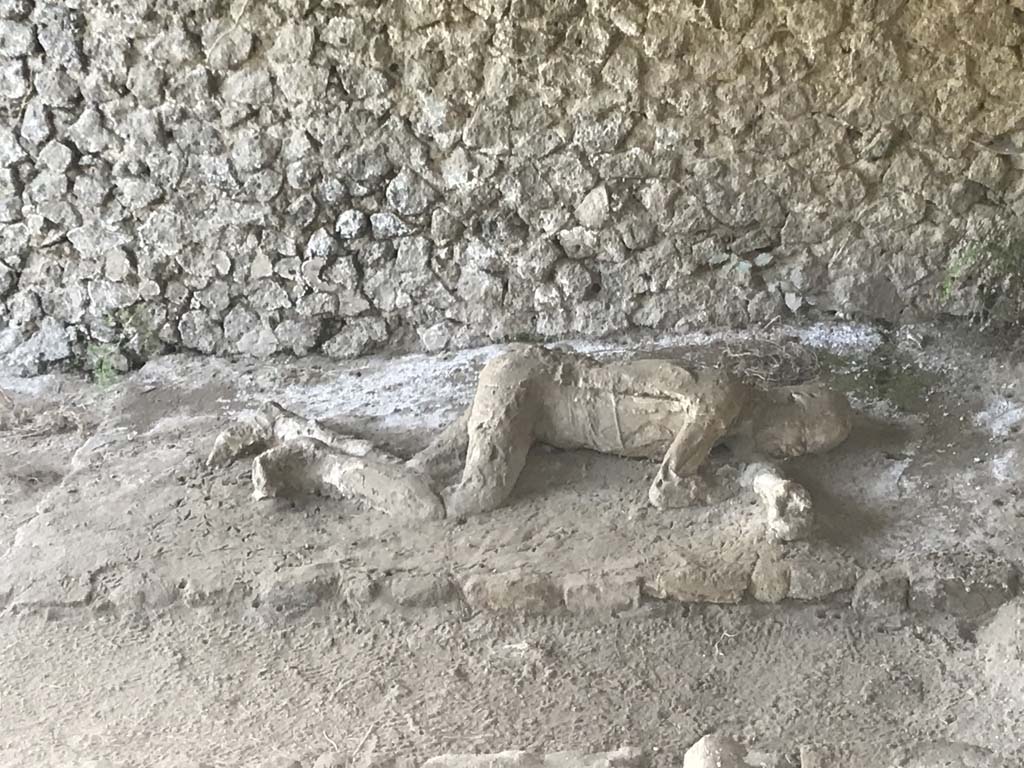 Pompeii, outside Porta Nocera. April 2019.
Plaster cast of remains of a second fleeing victim found in 1956/7. Photo courtesy of Rick Bauer.