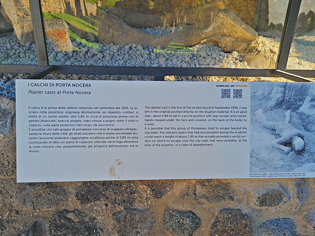 North-west side of Via delle Tombe. October 2024.
Information card on first of victims found in September 1956 and left in his original position directly on the eruption material. Photo courtesy of Giuseppe Ciaramella.