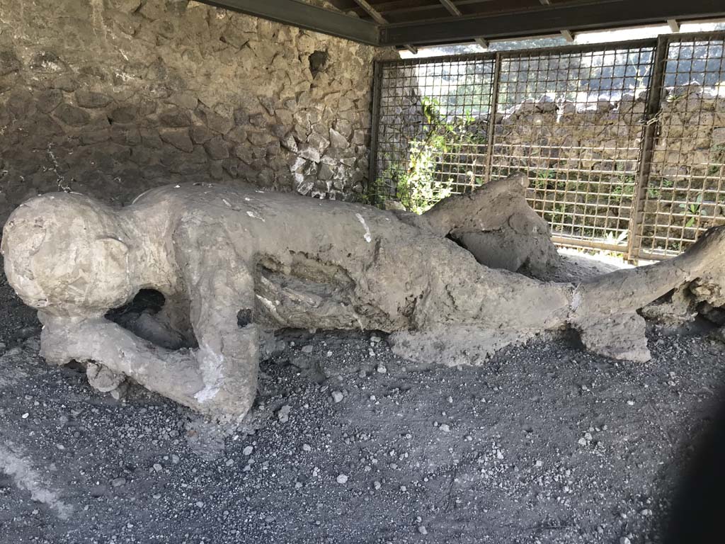 Pompeii, outside Porta Nocera. April 2019. Plaster cast of remains of a fleeing victim found in September 1956.
Photo courtesy of Rick Bauer.