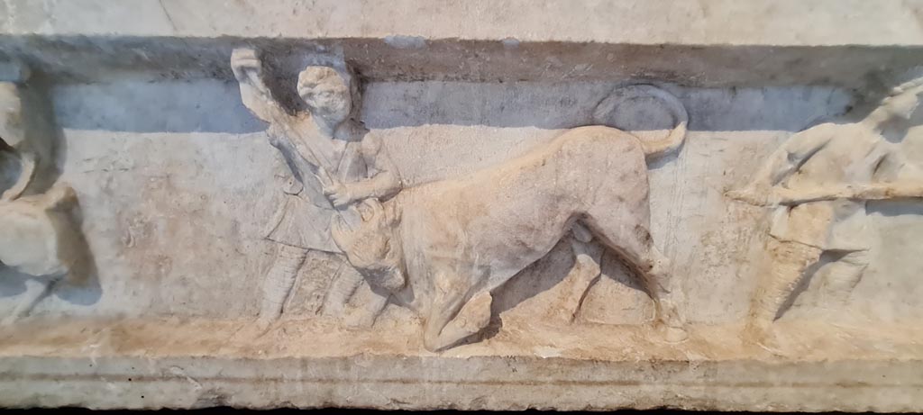 SG7 Pompeii. April 2023. Detail from lower row. Photo courtesy of Giuseppe Ciaramella.

