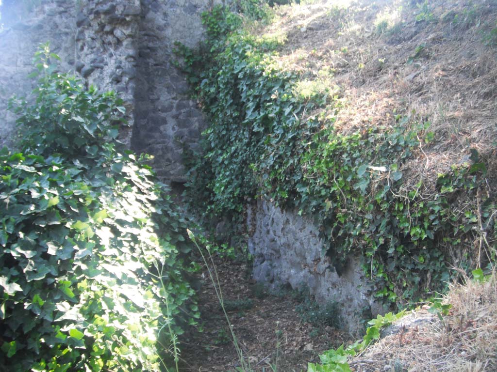 Tower III, Pompeii. May 2011. Looking towards north-west corner and remaining north wall. Photo courtesy of Ivo van der Graaff.