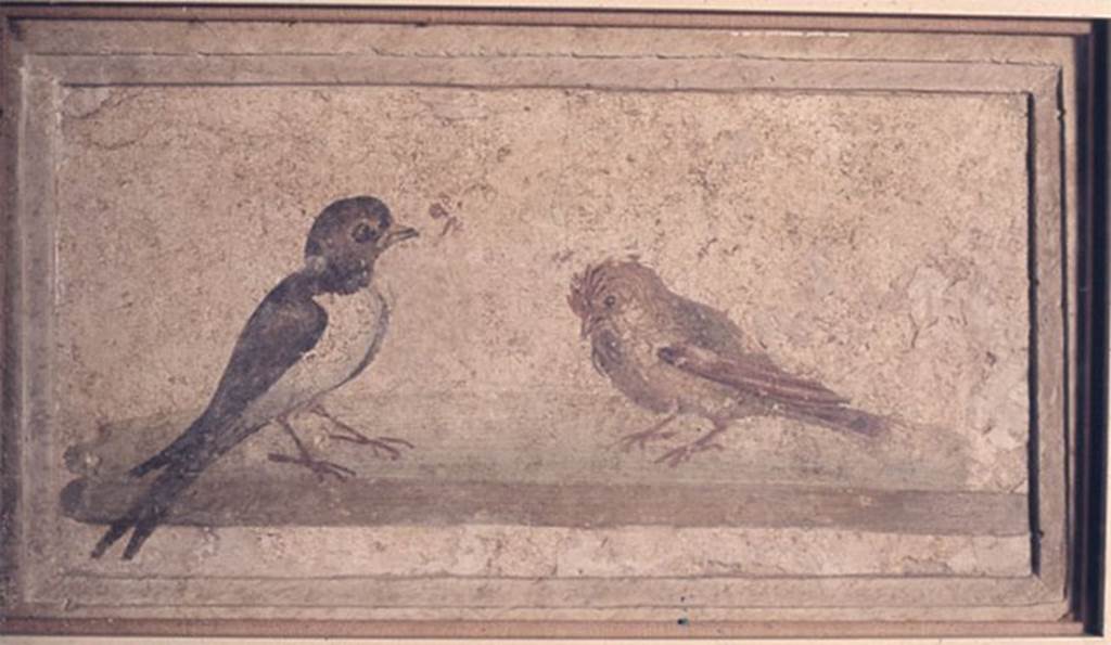 Villa rustica del fondo Ippolito Zurlo, Pompeii. Room C cubiculum, east wall, centre panel.
Painting with a swallow and a sparrow or hoopoe (?).
Photo © Trustees of the British Museum. Inventory number 1899.2-15.5.
See Swallow and sparrow wall painting at britishmuseum.org
