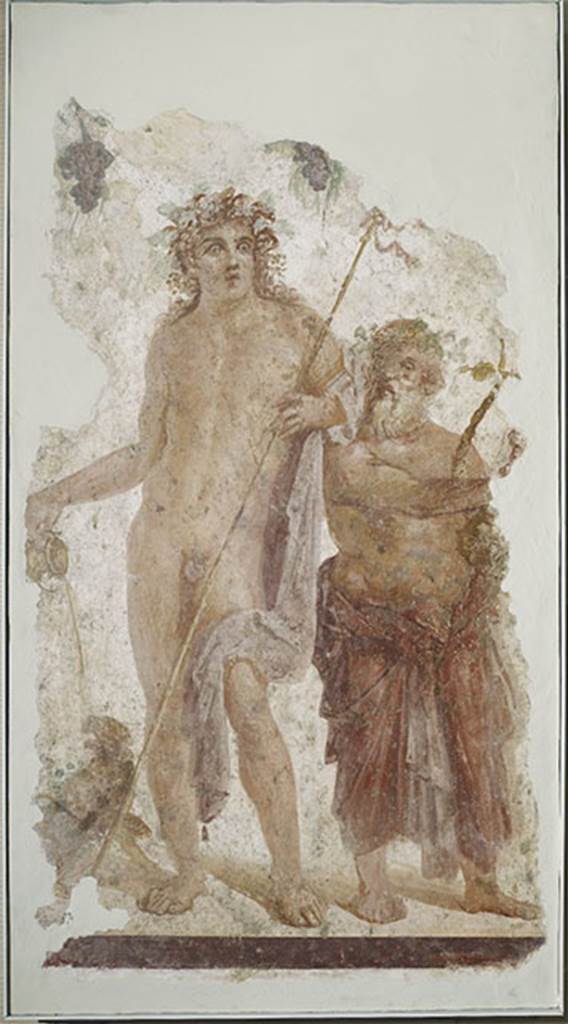 Villa rustica del fondo Ippolito Zurlo, Pompeii. Torcularium H.
Painting of Bacchus and Silenus from the pillar to the right of the small entrance doorway.
Bacchus, 0.76m high, crowned with vine-leaves and naked except for a purple cloak, leans limply with left elbow on the right shoulder of Silenus, nearby.
The purple cloak, turned around the left elbow, fell down the left side and fell over the knee.
He holds the long thyrsus with the left hand, and his right hand is outstretched, pouring the wine into the mouth of the panther, who was squatting at his feet.
The god is looking upwards.
Silenus, 0.62m high crowned with a grapevine and also naked on his top, had his loins wrapped in a purple cloak which was knotted at his belly.
He was in the act of touching the lyre, which he held leaning on his left arm, and with his gaze turned to the god.
The background was white, and from the top hung a garland of vine-leaves and grapes.
Photo © Trustees of the British Museum. Inventory number 1899.215.1.
Bacchus, Silenus and panther at britishmuseum.org