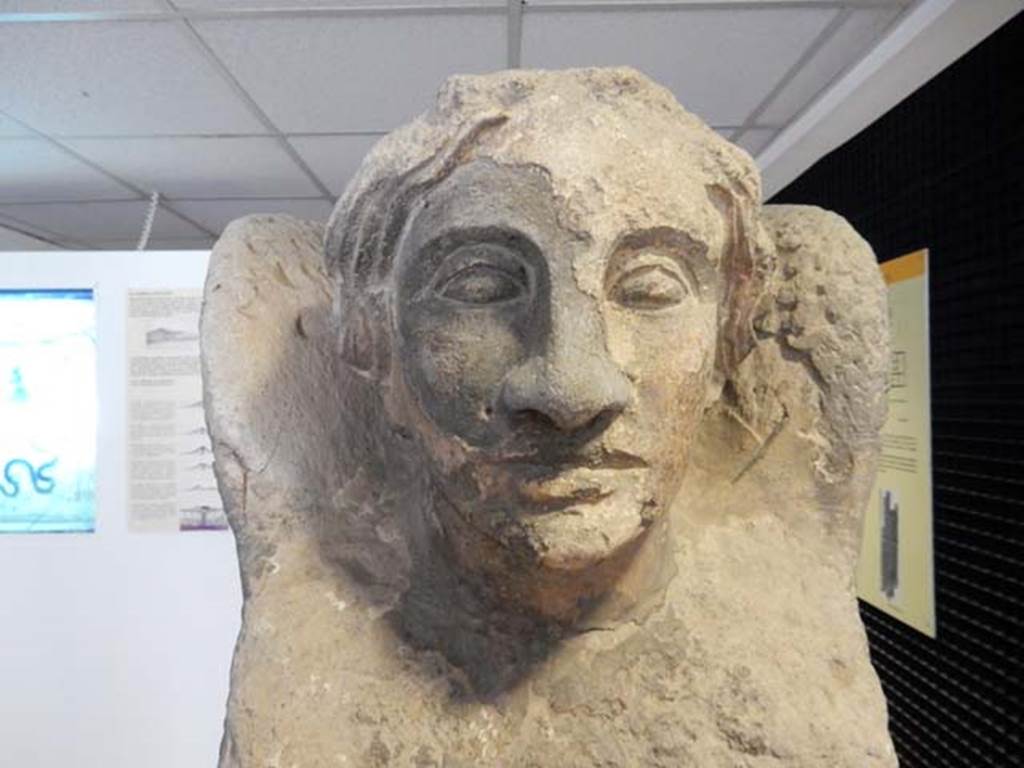 Pompeii, Villa in Fondo Antonio Prisco. 2010. Detail of the head of the grey tufa Sphynx.
Photo taken at Boston Museum of Fine Arts. Photo courtesy of Buzz Ferebee.